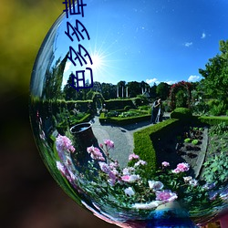 北京女子图鉴之再见爱情