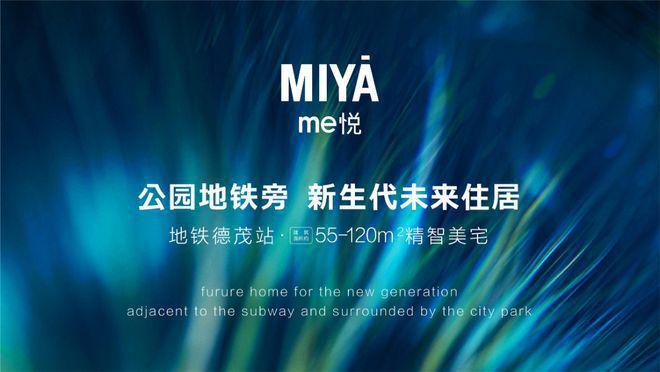 初学者的终极指南