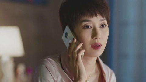 功夫阿宝：天下无拐