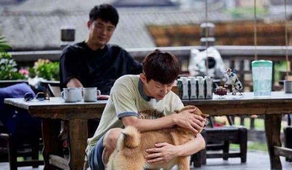 北极大冒险（国语版）