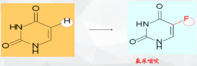功夫阿宝：天下无拐