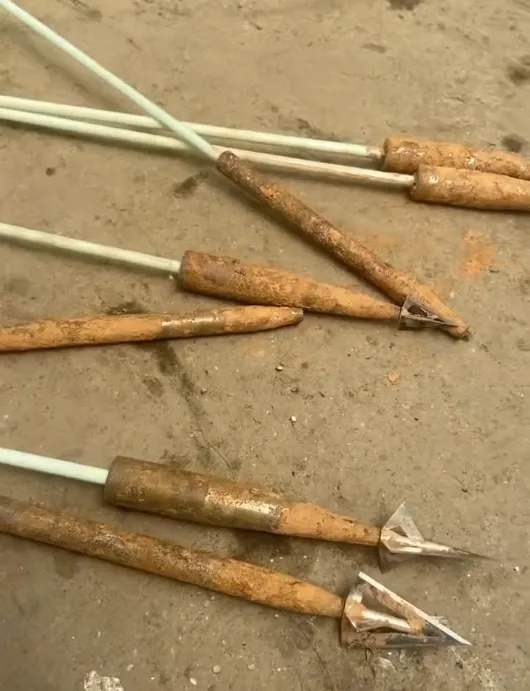 包青天书院诡事